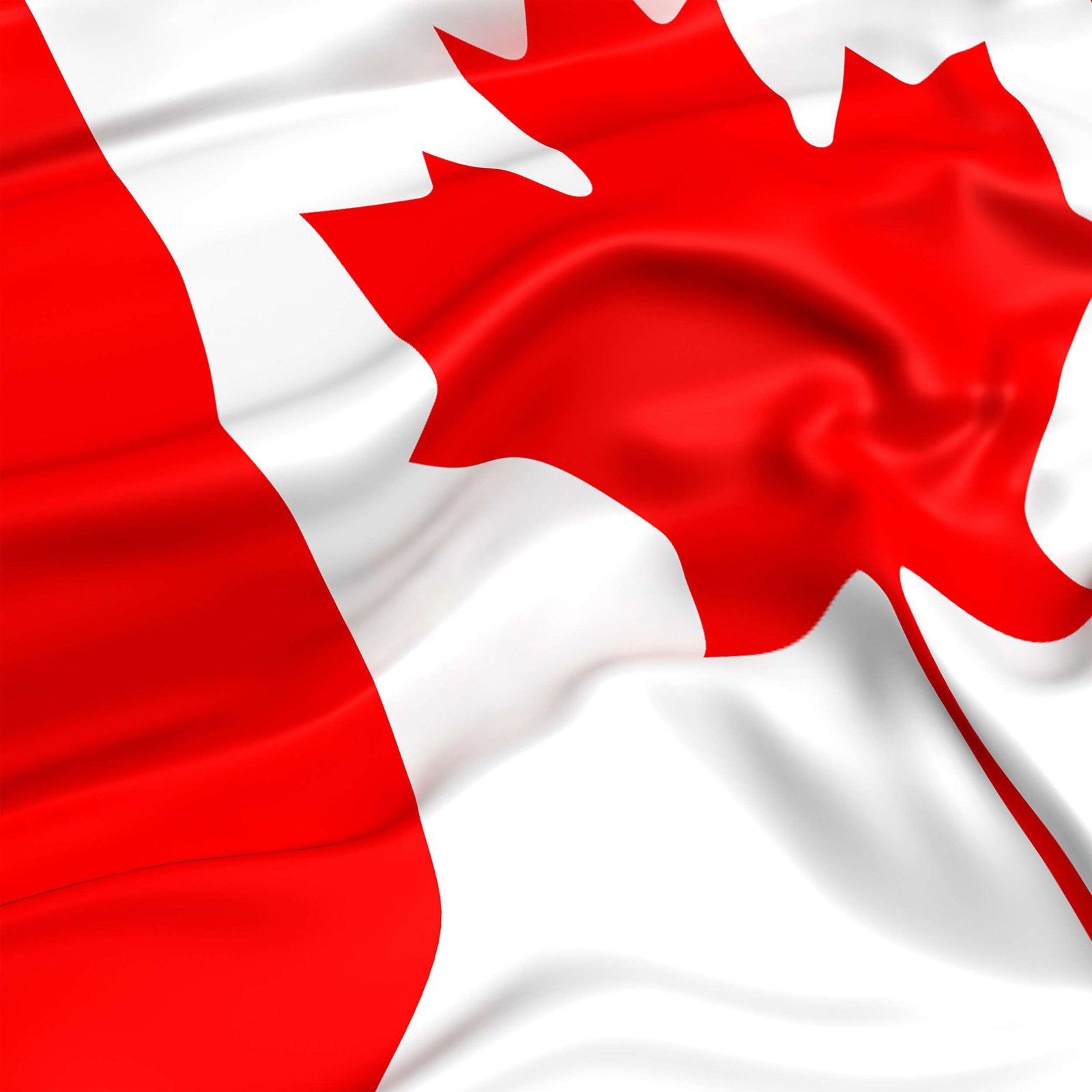 Read more about the article Will Canada give nod to universal basic income program?