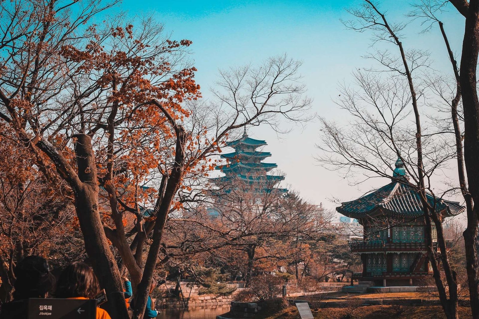 Read more about the article Basic Income backer wins South Korea ruling party presidency bid