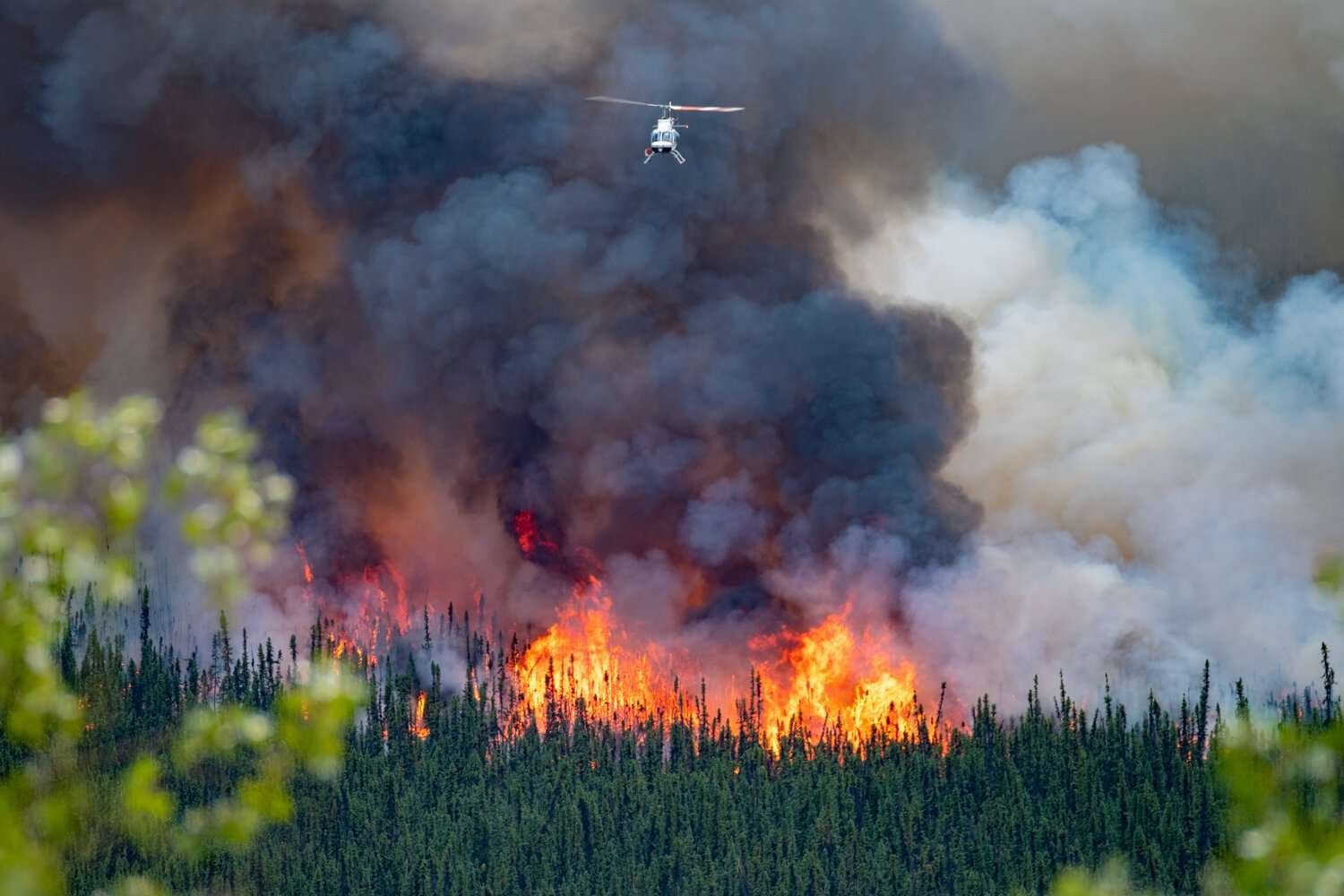 Read more about the article Opinion: bold climate action needs a basic income