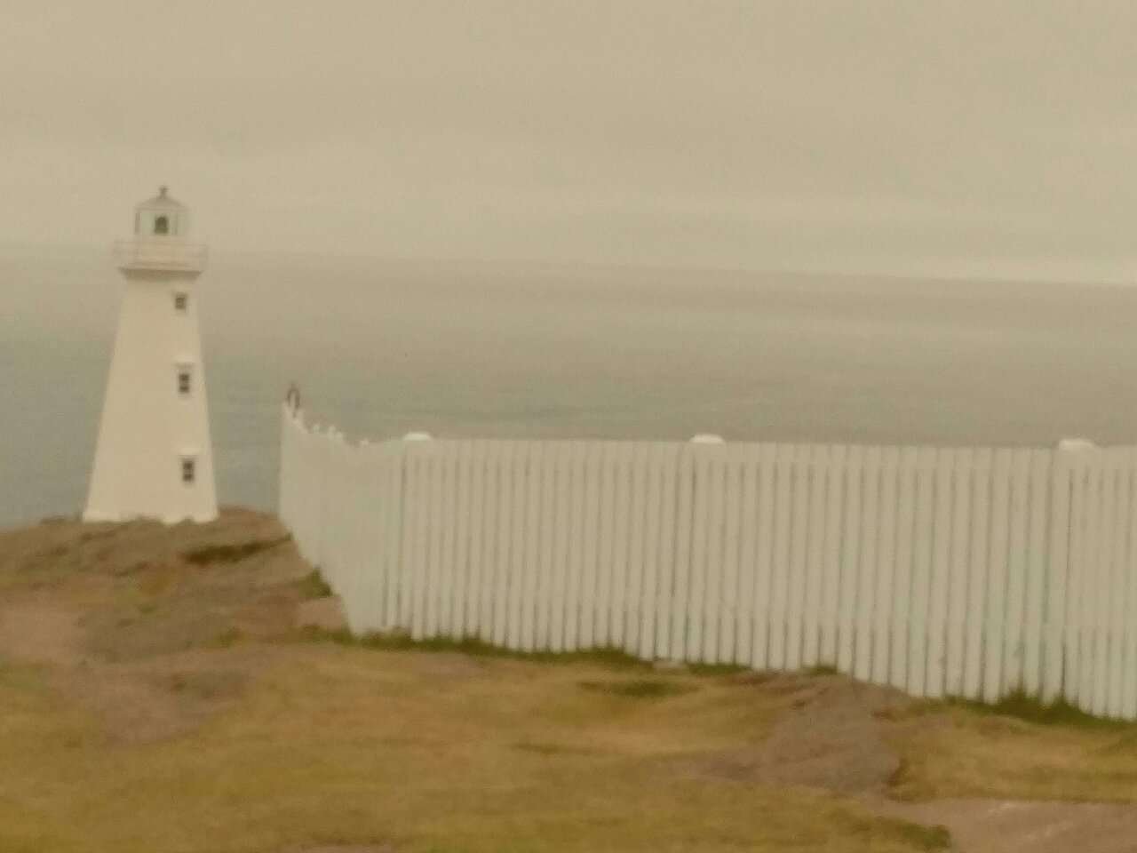 Read more about the article 57 Health Accord recommendations include basic income, integration of services for Newfoundland
