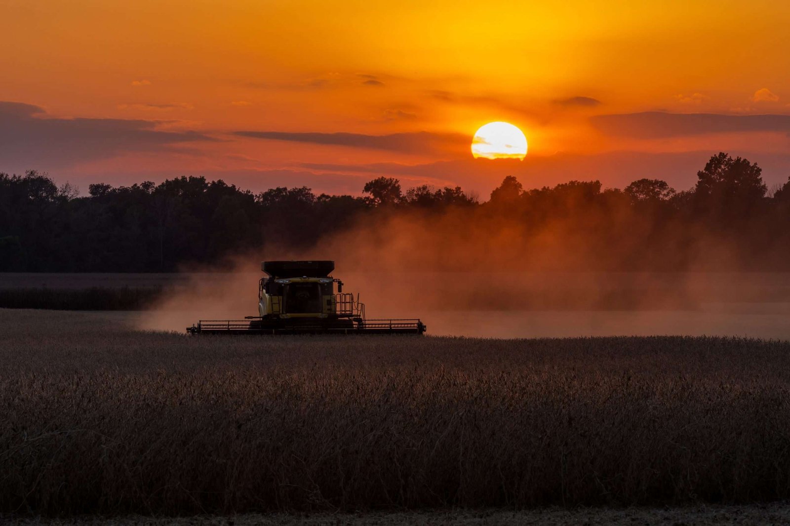 Read more about the article British farmers want basic income to cope with post-Brexit struggles