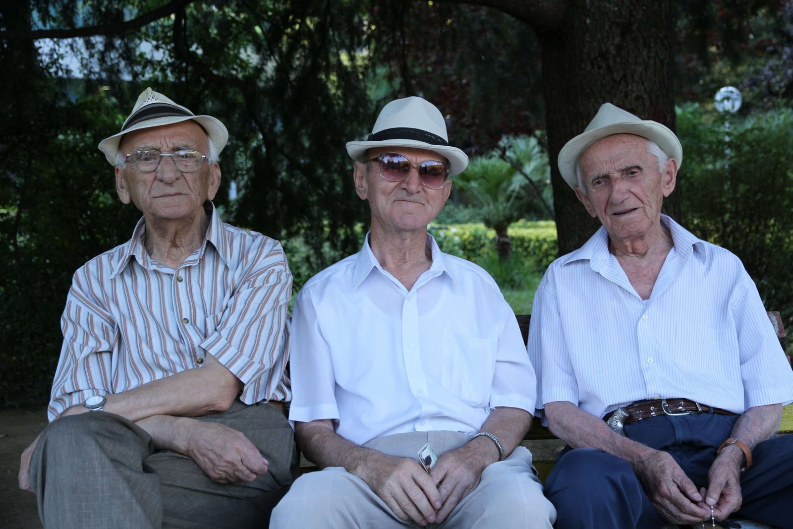 Read more about the article Liberal Leadership: Abbott Promises Targeted Basic Income for Seniors