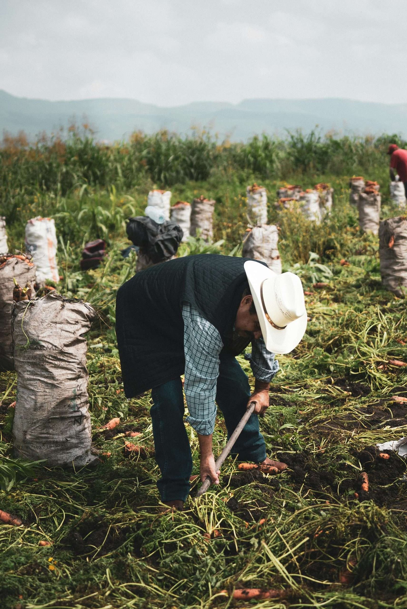 Read more about the article Call for basic income for farming